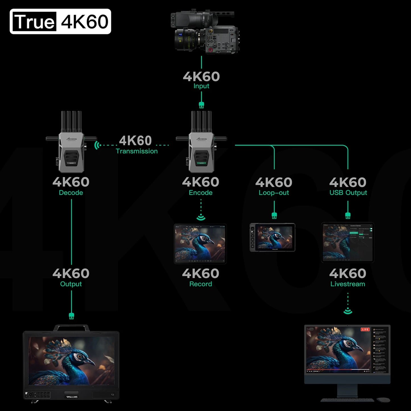accsoon-cineview-master-4k-true-4k60-signal-flow-diagram.png
Alt Text: Accsoon CineView Master 4K 4K60 workflow diagram showing input, encode, transmission, decode, loop-out, USB output, recording and livestream signal path.
