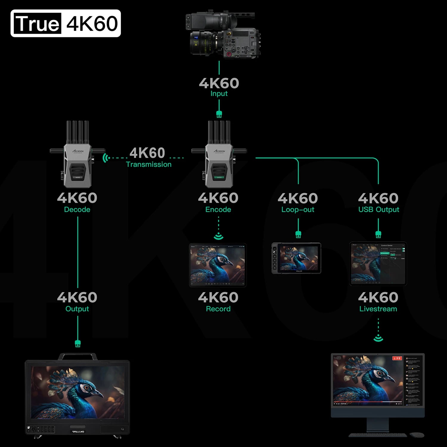 accsoon-cineview-master-4k-true-4k60-signal-flow-diagram.png
Alt Text: Accsoon CineView Master 4K 4K60 workflow diagram showing input, encode, transmission, decode, loop-out, USB output, recording and livestream signal path.