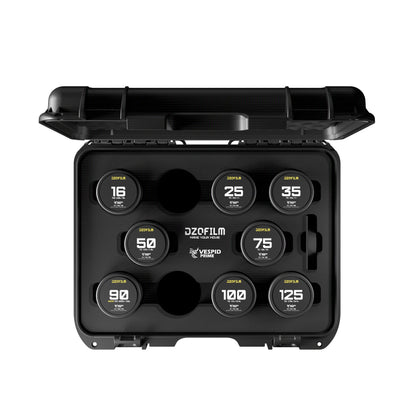 DZOFilm Arles Prime T1.4 FF/VV 8-lens set (PL mount) in hard case foam, top view